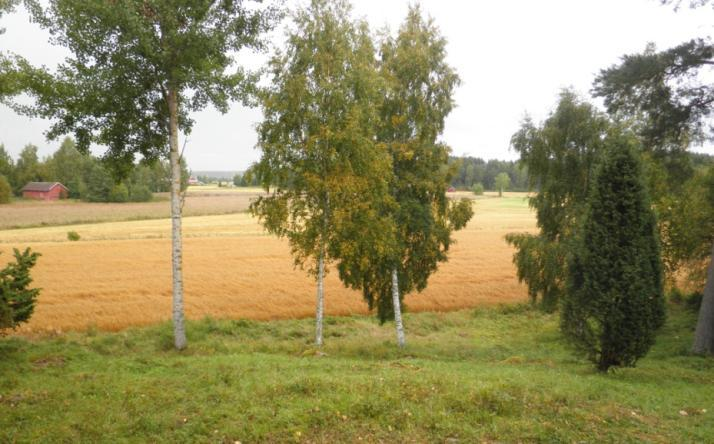 Hakamaa on harvapuustoinen alue, jonka kenttäkerrosta vallitsee metsäkasvillisuuden sijasta heinä- ja ruohovartinen kasvillisuus. Puut ovat leveälatvuksisia ja runsasoksaisia.