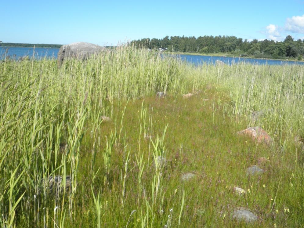 Pienialaisia rantaniittykuvioita löytyy lisää suunnittelualueelta.