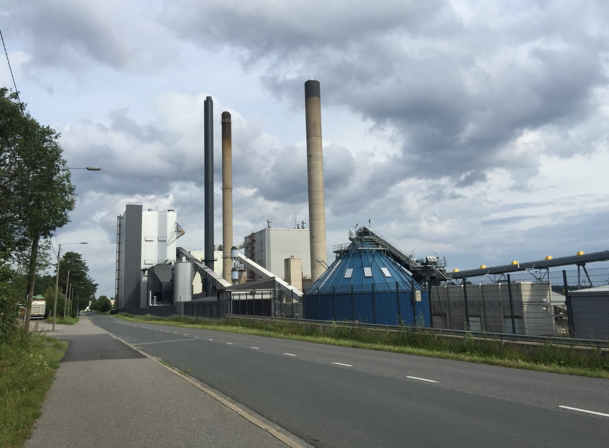 KUMPUSAARI-HAAPANIEMI-SAARISTOKATU 8 Rantakasvillisuus Ranta-kasvillisuus on alueella heikosti kehittynyttä: lähinnä suursaroja, yksittäisiä järviruokoja, rantakukkaa, terttualpia yms.