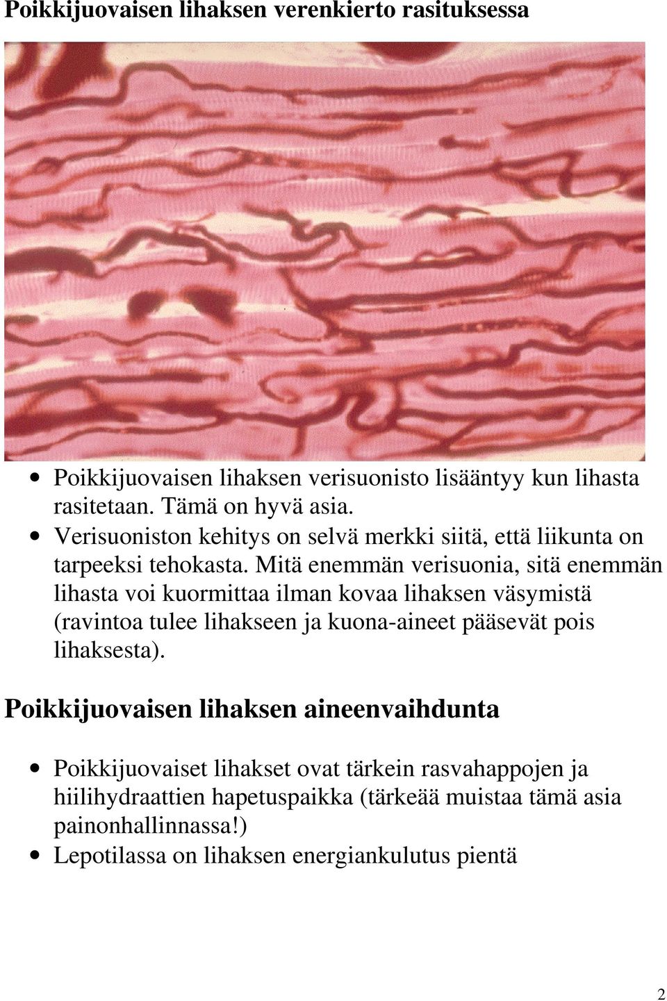 Mitä enemmän verisuonia, sitä enemmän lihasta voi kuormittaa ilman kovaa lihaksen väsymistä (ravintoa tulee lihakseen ja kuona-aineet pääsevät pois