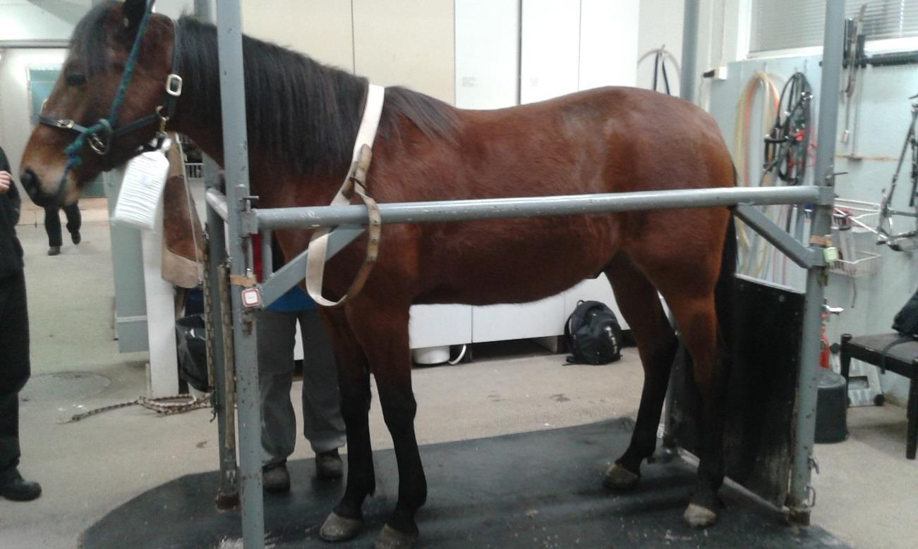 90cm. Olimme itse kuvaushuoneen ulkopuolella tutkimusten ajan ja lyijyovi esti näkyvyyden tutkimushuoneeseen.