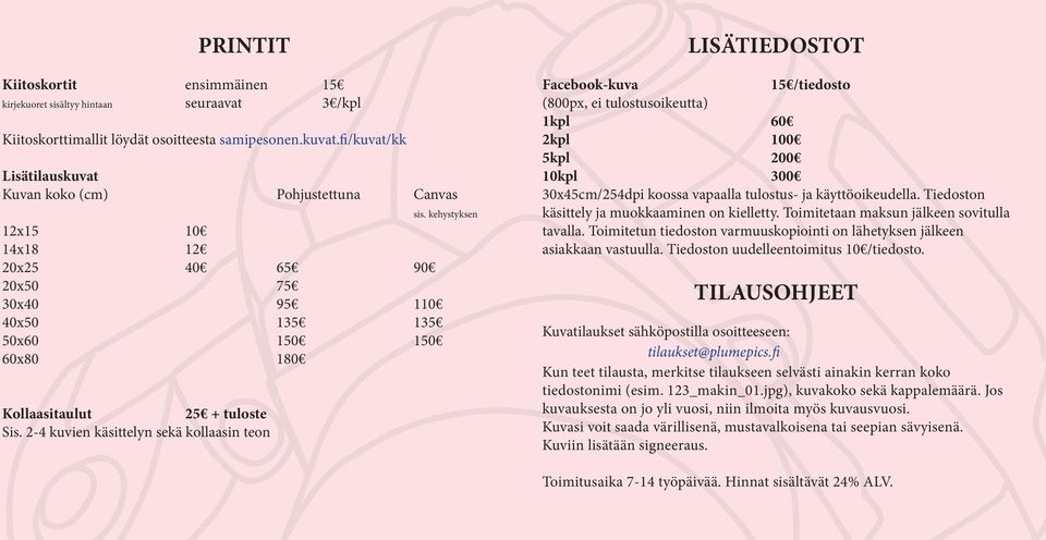 2-4 kuvien käsittelyn sekä kollaasin teon sis.