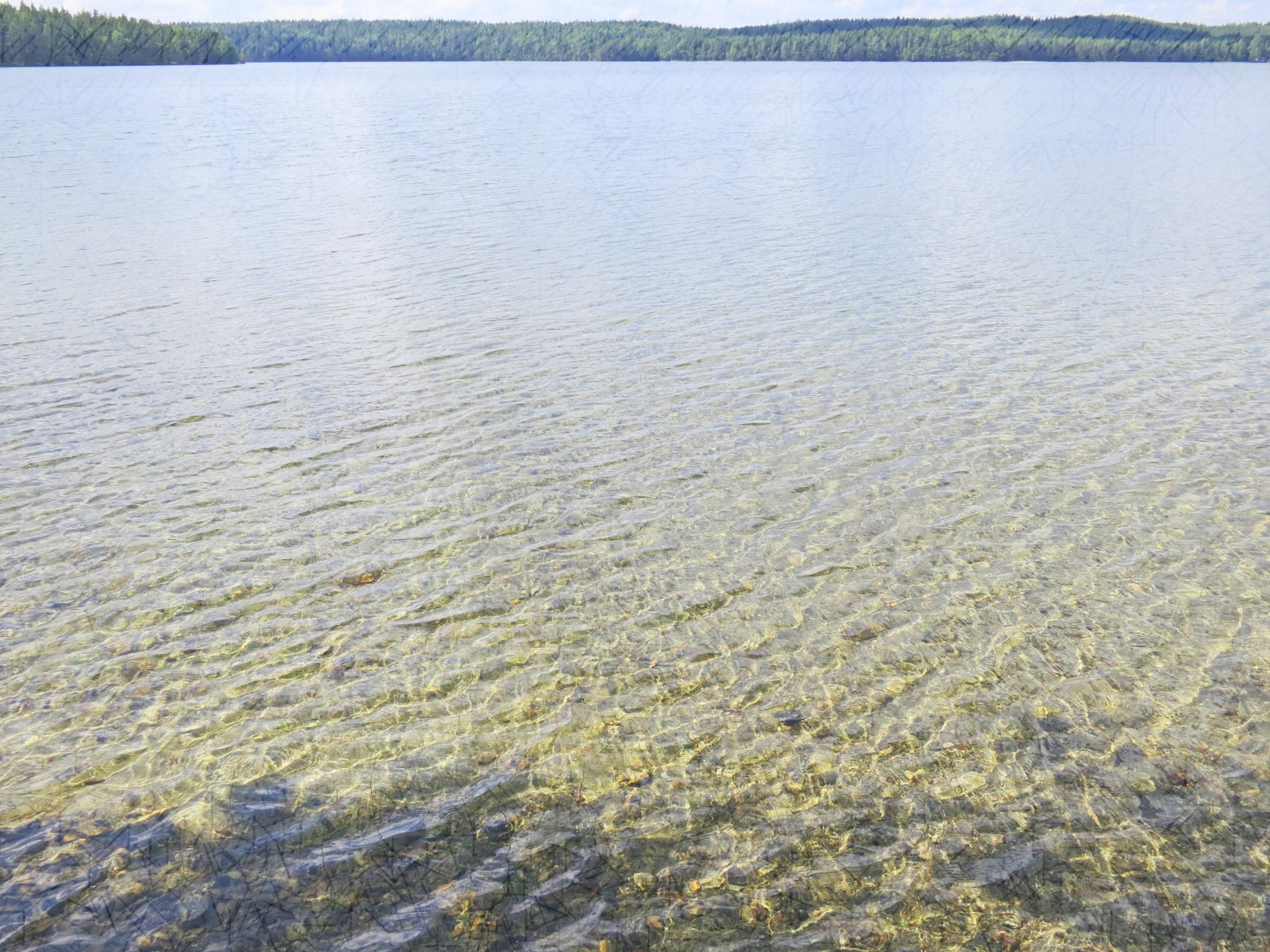 Kahdeksan asiantuntijaryhmää Itämeri pj. tutkimusprofessori Aarno Kotilainen, Geologian tutkimuskeskus Rannikko pj. vanhempi tutkija Terhi Ryttäri, Suomen ympäristökeskus Sisävedet pj.