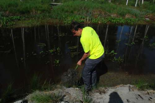 GEOLOGIAN TUTKIMUSKESKUS 3 Kuva 2. Purosedimenttiä, joka on otettu puron reunasta 15 20 cm veden pinnan alta. Näyte TTTA-2013-441 on otettu tästä materiaalista. 2.2 Analyysit Näytteet kuivattiin alle 40 o C lämpötilassa ja seulottiin alle 2 mm raekokolajitteeseen.