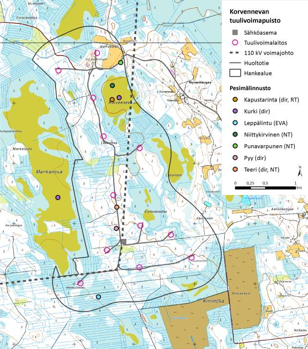 102 (265) Korvennevan tuulivoimapuisto FCG SUUNNITTELU JA TEKNIIKKA OY Kuva 10.20. Pesimälinnustokartoituksissa havaitut suojelullisesti arvokkaat lintulajit.
