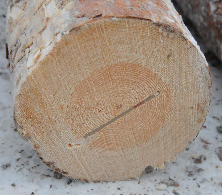 TAG DEVELOPMENT Challenges Harsh all weather four season environment, moisture Durable and robust tag for surviving in the logs Efficient and straight forward marking & identification Compatibility