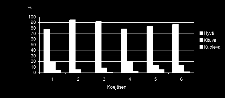 MÄNNYNTAIMIKON PERKAUS Kaikki Kainuun koekentät Perustettu 1998 Mitattu 2003 Yli 1.3 m:n taimien keskipituus, dm % 1 = Ei taimikonhoitoa.