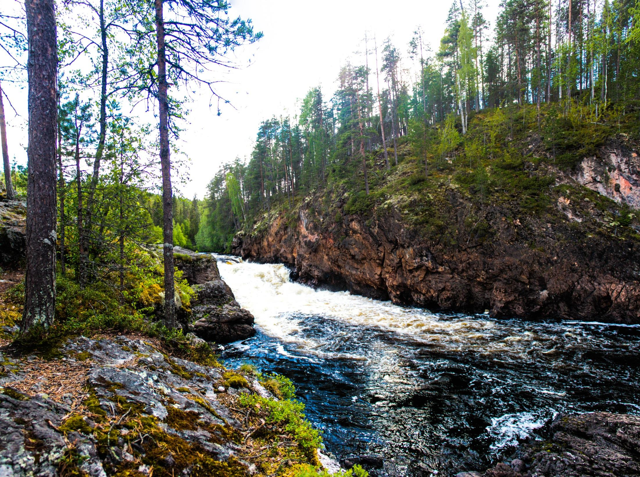 Kiitos Kuva Leif