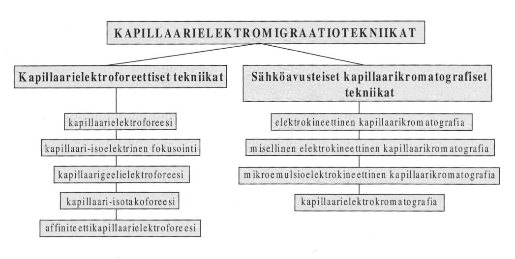 4 3 KAPILLAARIELEKTROMIGRAATIOTEKNIIKAT Kapillaarielektromigraatiotekniikat ovat tehokkaita, nopeita ja selektiivisiä erotusmenetelmiä pienille ja suurille molekyyleille.