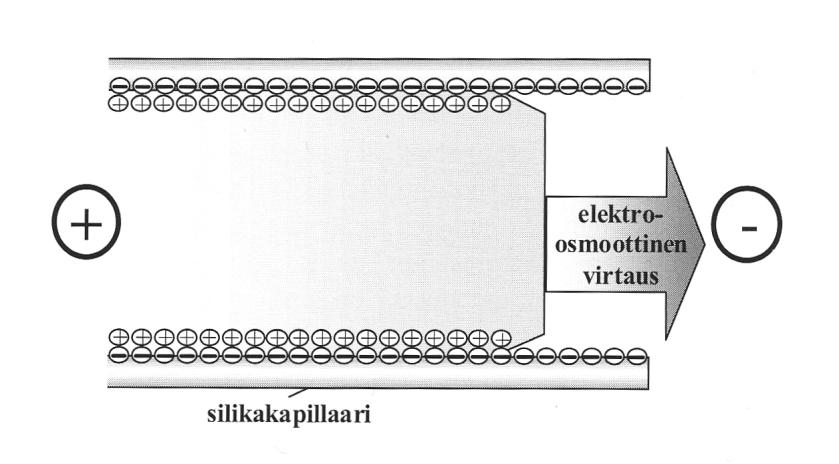 8 Kuva 8. Sähköinen kaksoiskerros [10, s. 219] Kun elektrolyyttiliuoksella täytettyyn kapillaariin kytketään sähkökenttä, alkaa diffuusiokerros liikkua kohti katodia.