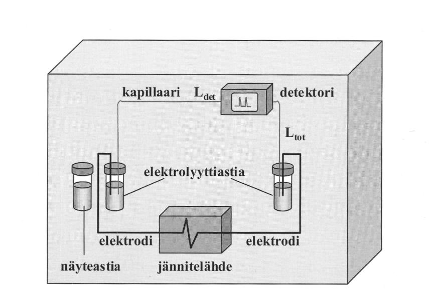 10 Joule-lämmön vaikutuksesta kapillaarin sisään muodostuu kapillaarin säteen suuntainen lämpötilagradientti: keskellä kapillaaria lämpötila on korkeampi kuin laidoilla.