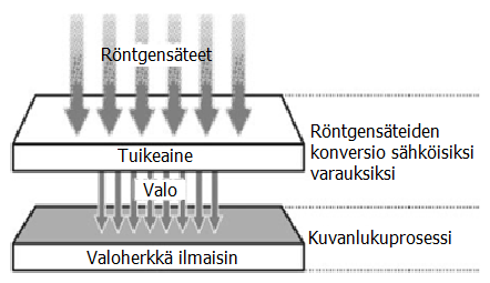 10 (60) ilmaisimen kykyyn muuttaa havaittu röntgensäteily suoraan sähköiseksi informaatioksi.