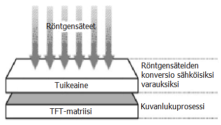 11 (60) KUVA 3. Suora tekniikka (Mukailtu: Körner ym. 2007, 678.