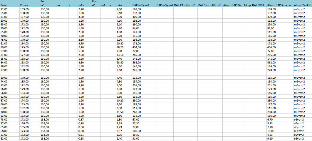LIITE 4: EXCEL-TAULUKKO