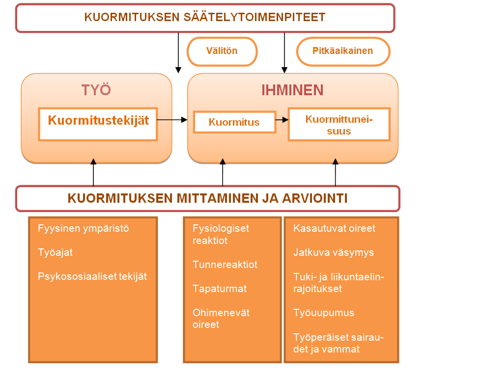 7 Kuvio 1. Yksinkertainen kuormitusmalli (Mukaillen Elo ym. 2003, 11) 3.