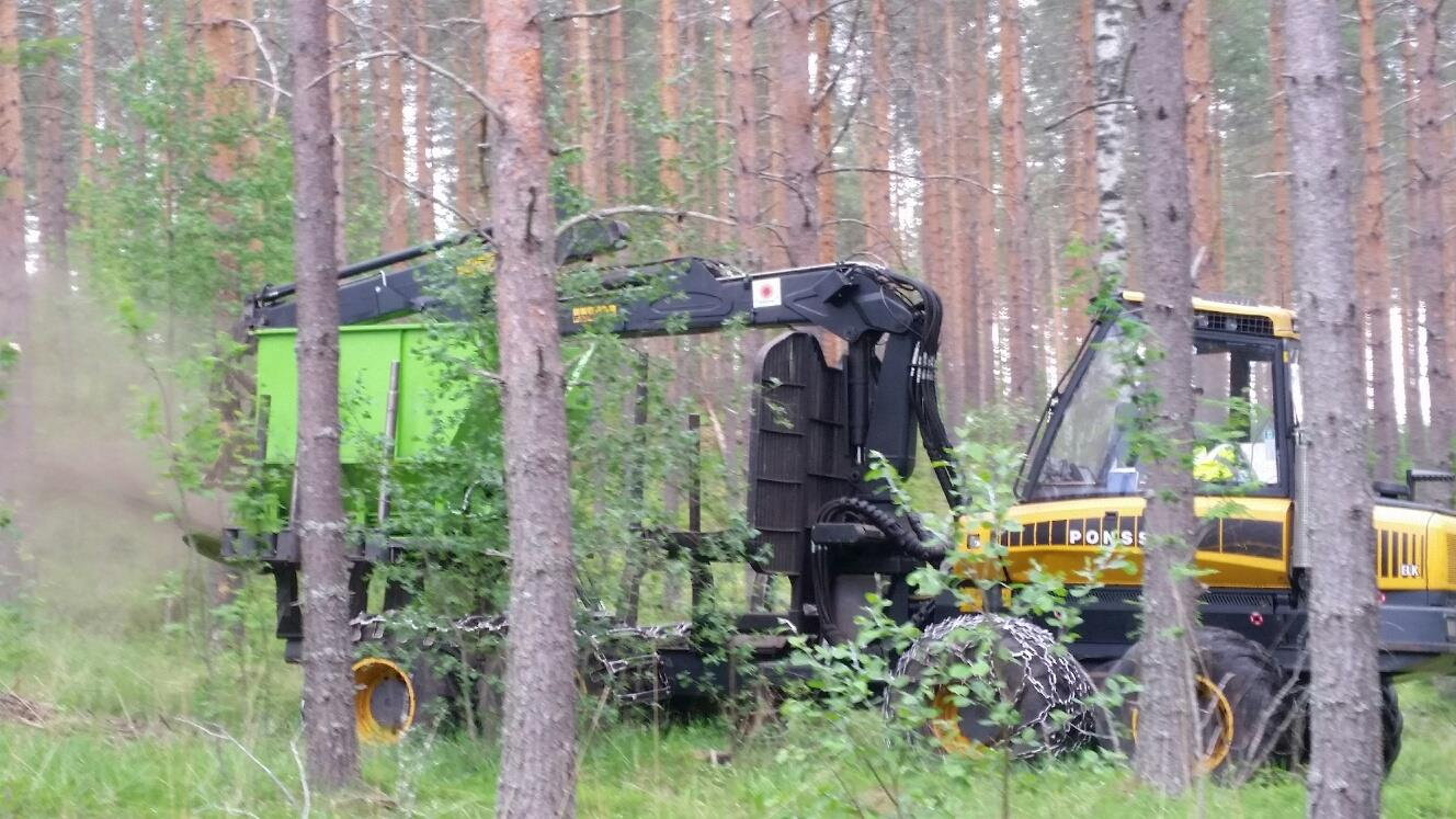 Puutuhkan merkitys metsien kiertotaloudelle: Kokemuksia EU:n Valeriehankkeen sidosryhmätyöstä ja Puutuhkaa