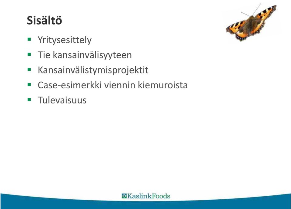 Kansainvälistymisprojektit