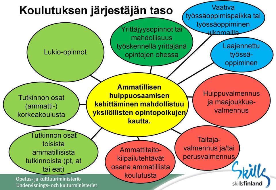 huippuosaamisen kehittäminen mahdollistuu yksilöllisten opintopolkujen kautta.