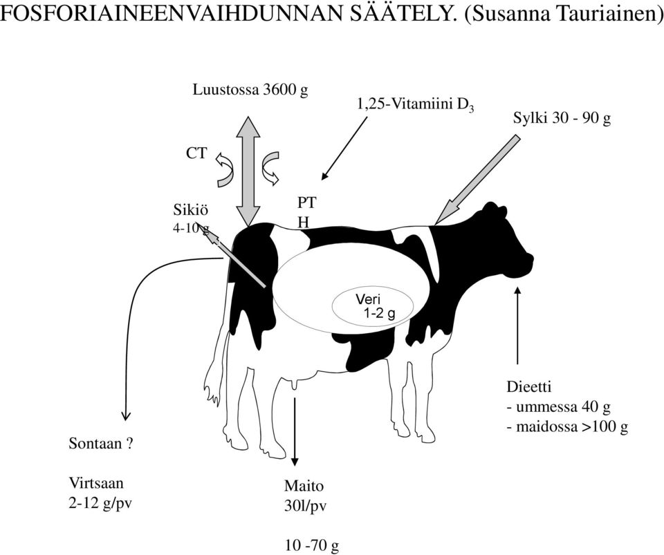 D 3 Sylki 30-90 g Sikiö 4-10 g PT H Veri 1-2 g Sontaan?