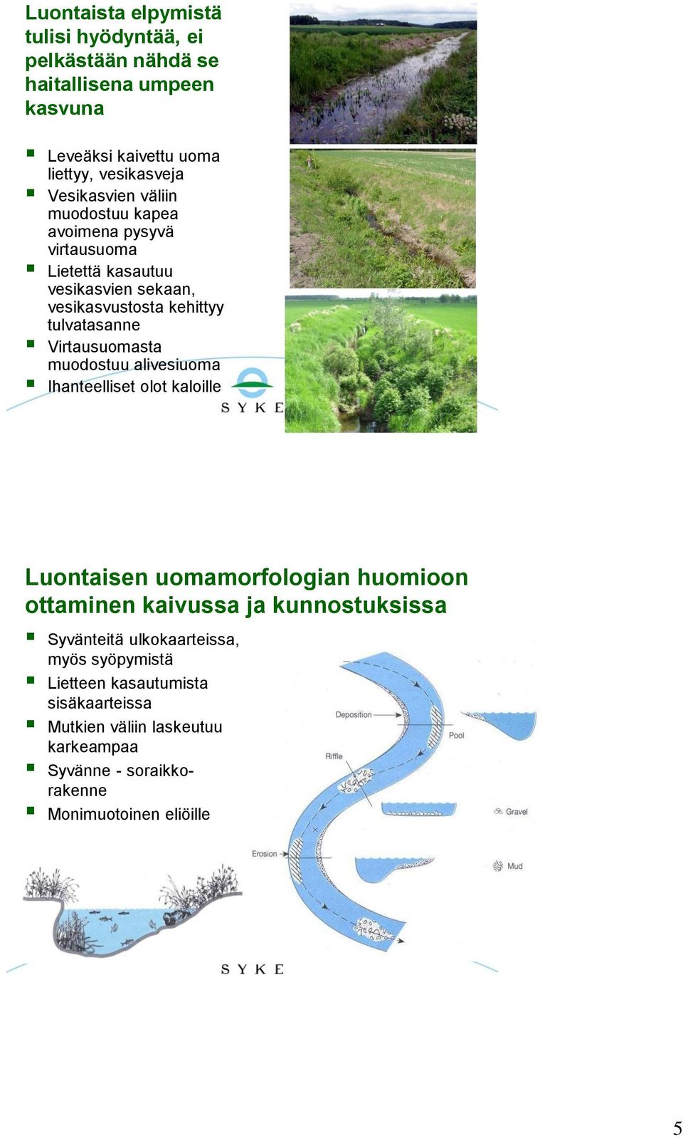 Virtausuomasta muodostuu alivesiuoma Ihanteelliset olot kaloille Luontaisen uomamorfologian huomioon ottaminen kaivussa ja kunnostuksissa