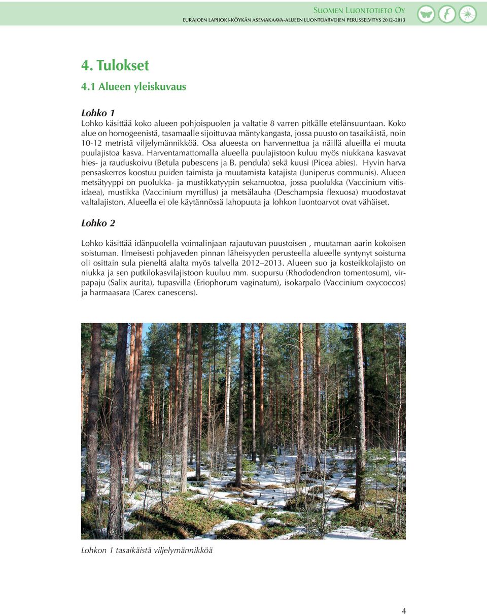 Osa alueesta on harvennettua ja näillä alueilla ei muuta puulajistoa kasva. Harventamattomalla alueella puulajistoon kuluu myös niukkana kasvavat hies- ja rauduskoivu (Betula pubescens ja B.