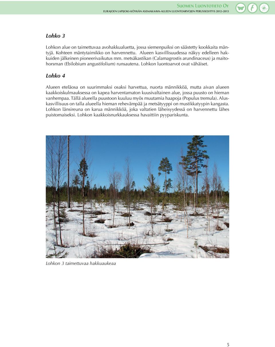 Lohkon luontoarvot ovat vähäiset.