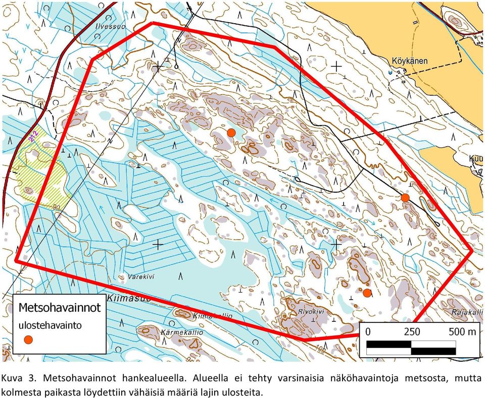 näköhavaintoja metsosta, mutta kolmesta