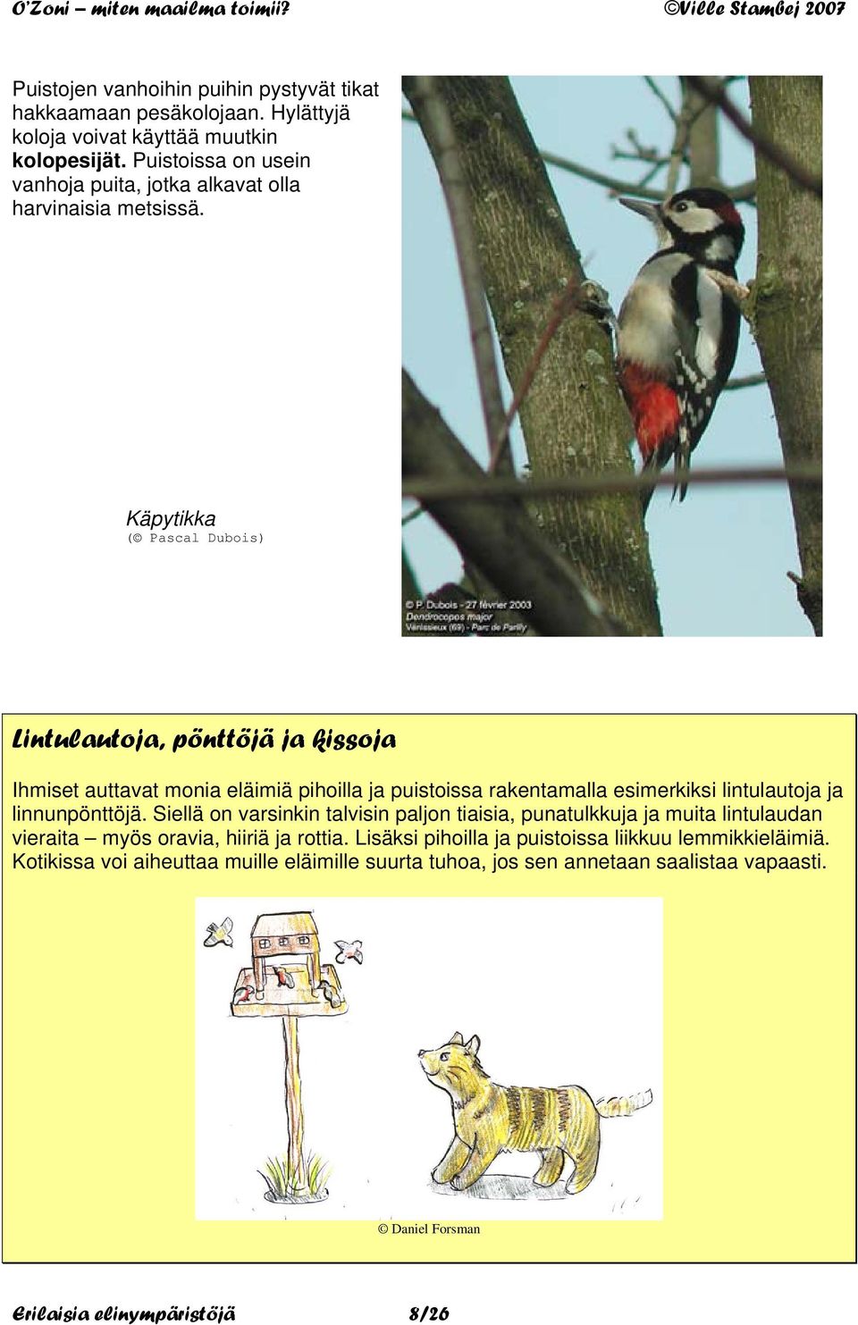 Käpytikka ( Pascal Dubois) Lintulautoja, pönttöjä ja kissoja Ihmiset auttavat monia eläimiä pihoilla ja puistoissa rakentamalla esimerkiksi lintulautoja ja