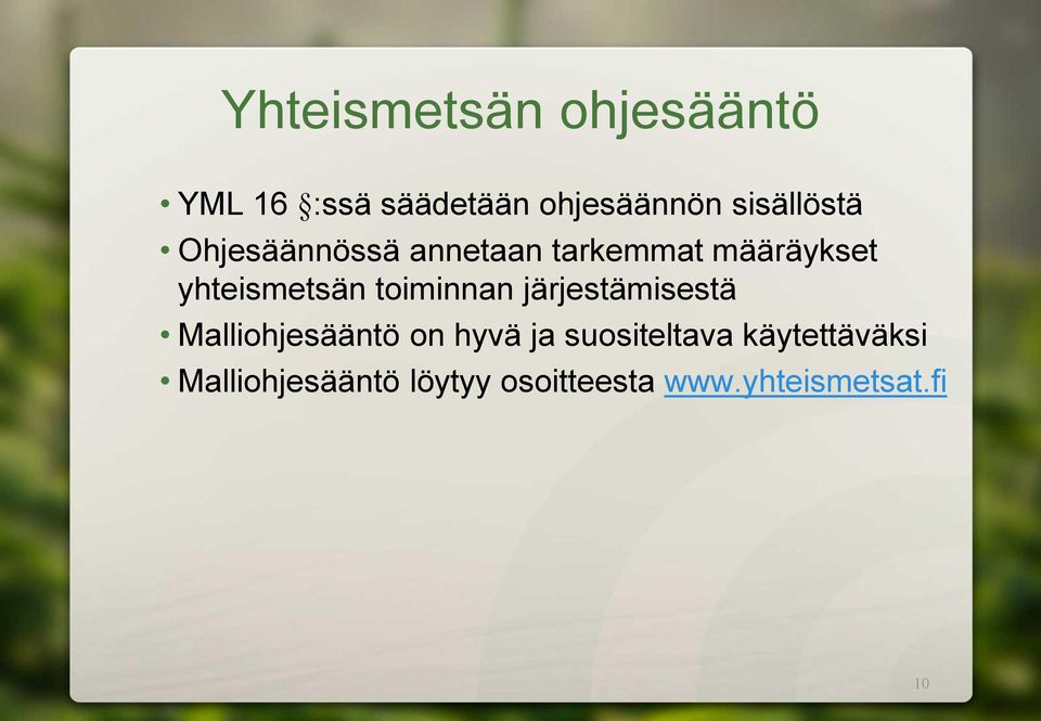 yhteismetsän toiminnan järjestämisestä Malliohjesääntö on hyvä ja