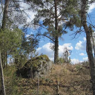 Lastenlinnan metsän asemakaava Tällä kaavoituskatsauksella käynnistetään Lastenlinnan metsän asemakaava. Lastenlinnan metsä sijaitsee lastenlinnan eteläosassa. Suunnittelualue on metsäinen.