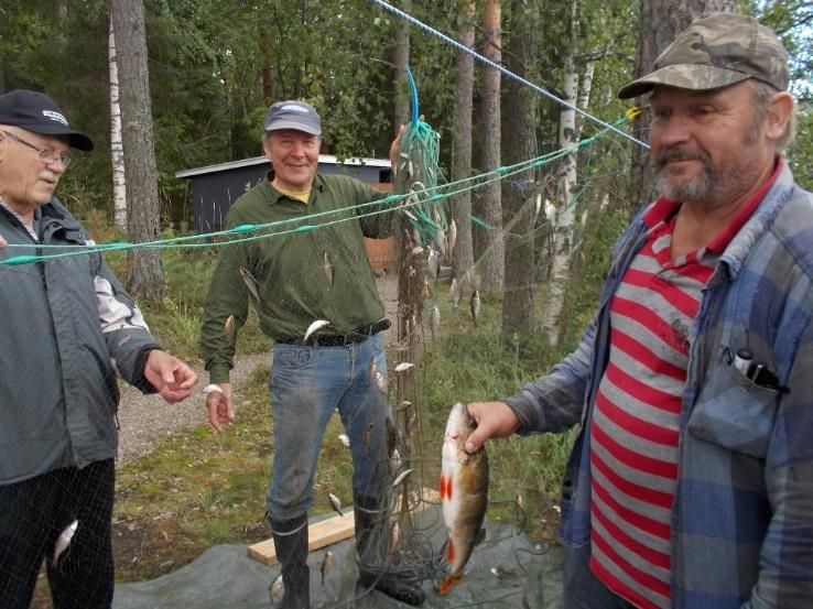 16 3.3 Veden laadun havainnointi kalastorakenteen tutkimuksen aikana Savonlahden veden lämpötila mitattiin Limnos-vesinäytteenottimen avulla jokaisen pyyntiponnistuksen yhteydessä jokseenkin keskeltä