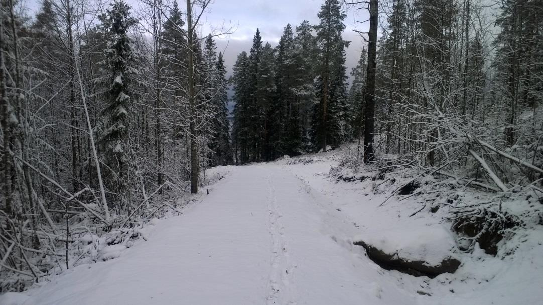 FCG SUUNNITTELU JA TEKNIIKKA