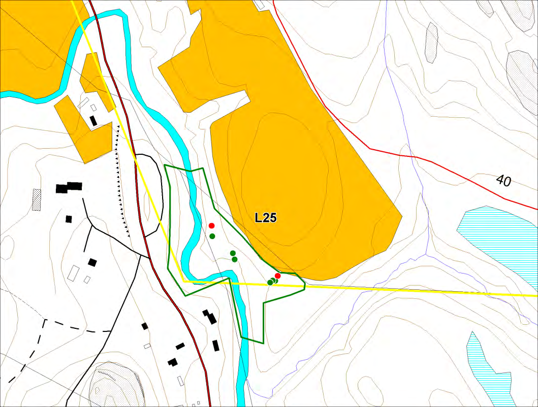 Kuva 8. Liito-oravan elinympäristö Luhtajoen varresta. Punaisilla pisteillä on merkitty liito-oravan havaintopaikat vuosilta 2007 ja 2008. Eteläisempi havaintopiste on kolohaapa.