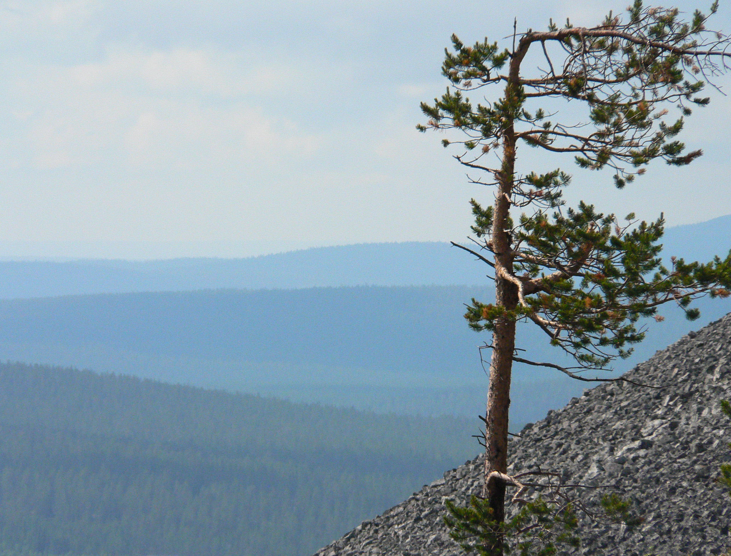 TOIMINTA-AJATUS, PÄÄMÄÄRÄT JA TAVOITTEET SAKU ry:n Tuki-Säätiön tarkoituksena on liikuntakasvatuksen edistäminen Suomen ammatillisessa koulutuksessa.