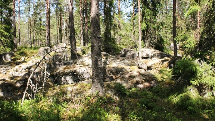 Luomaistenkallion lakikalliota. Olavi Yli-Vainio 2012 Maakunnallinen vaellusreitti Ilkanpolku kulkee kallionlaen kautta.