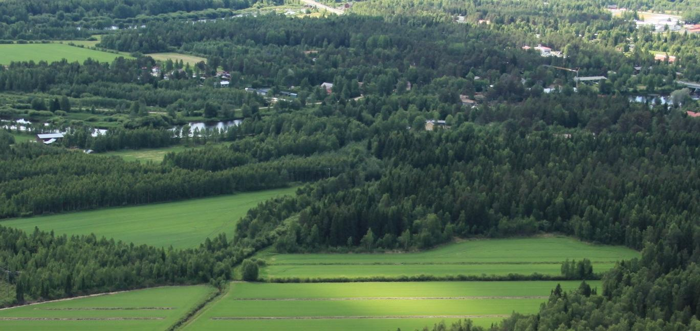 KAAVASELOSTUS Hyväksytty Pyhäjoen kunnanvaltuustossa 20.4.