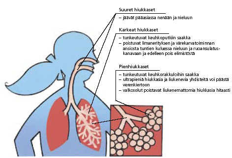 4 maan ilmavirtausta ja päätyvät syvemmälle hengitysteihin. Ultrapienet hiukkaset (alle,1 μm) voivat siirtyä keuhkoista edelleen verenkiertoon.