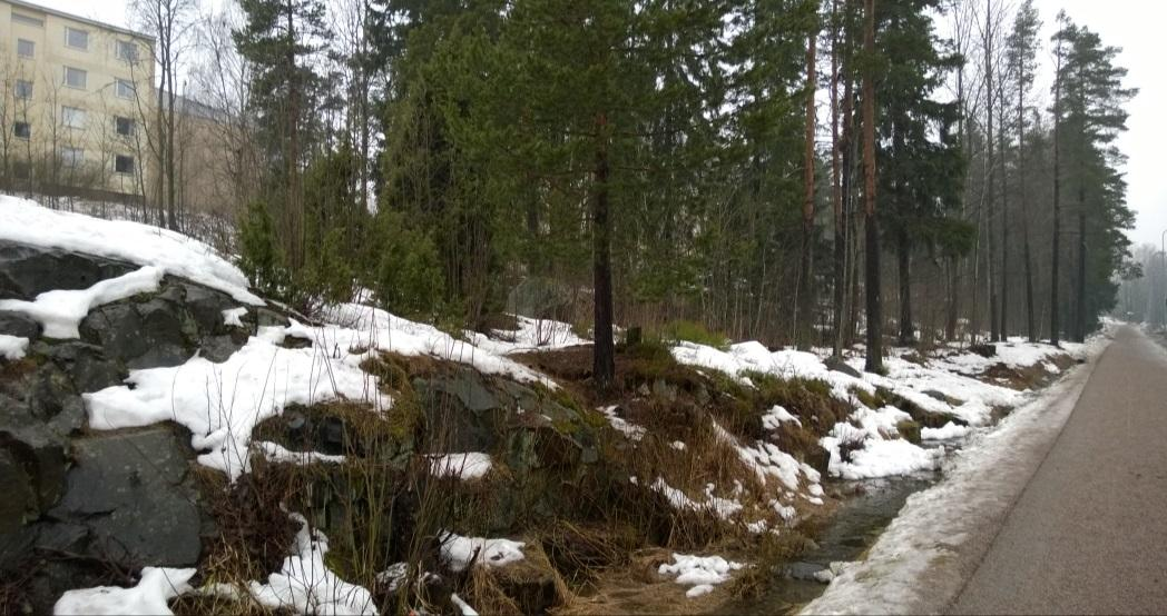 17 (38) den yllä. Alueella lepakoiden todennäköisiä asuinpaikkoja ovat viereisten kerrostalojen räystäiden raot, ilmanvaihtohormit tai vastaavat paikat.