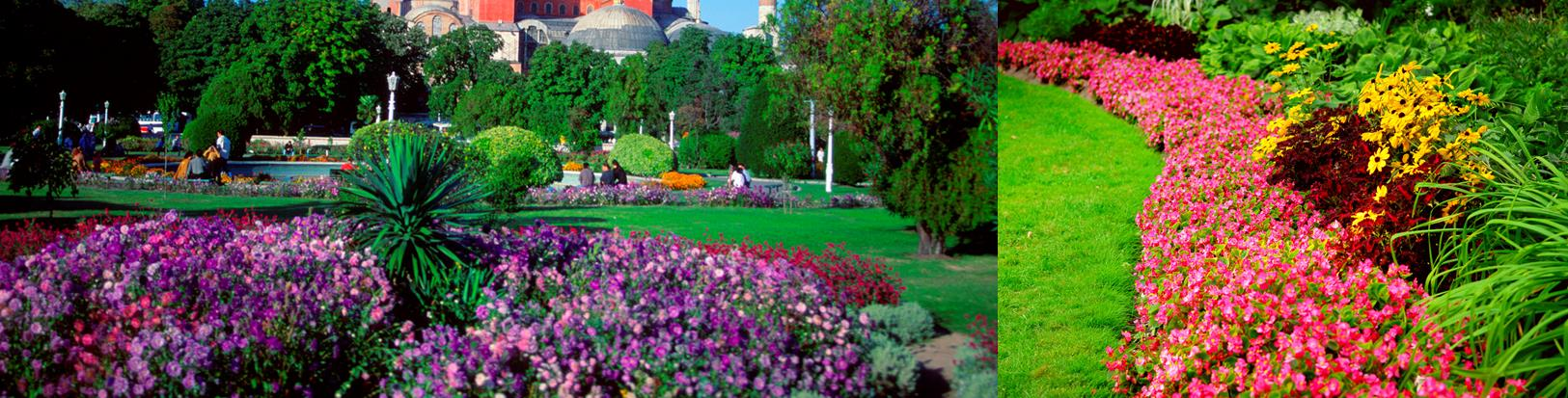 Most important is to build flourishing service gardens Just like a garden, services are changing color