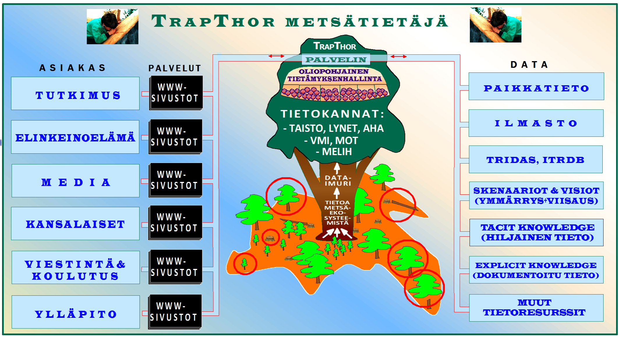TrapThor Metsätietäjä on oliopohjainen asiantuntijajärjestelmä, joka osaa etsiä ja hyödyntää olemassa olevaa tietoa.