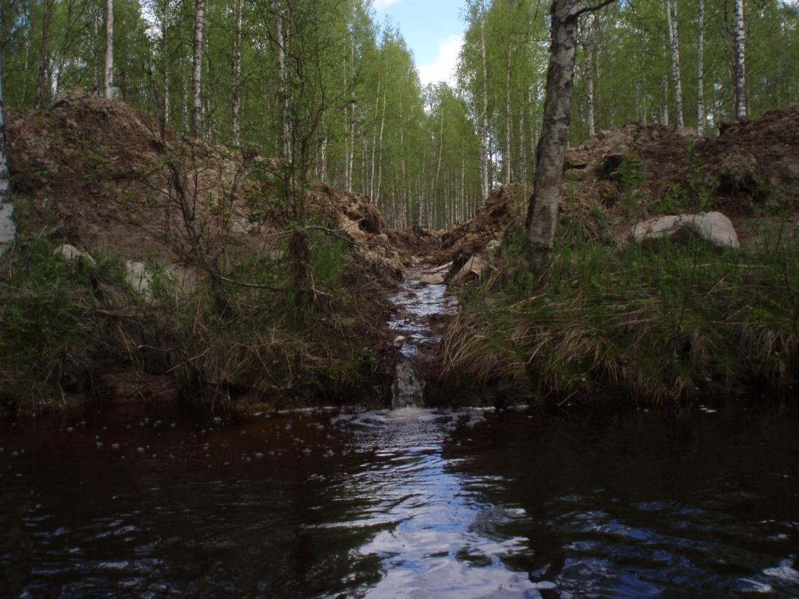 Ei näin. <= Pitäisi jättää hakkuun ja maanmuokkauksen yhteydessä suojakaistat vesistöön. Ei näin.