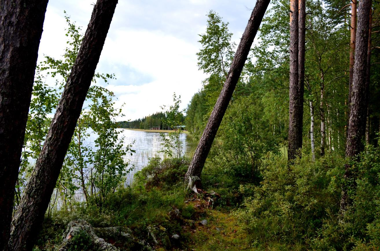 Vanha rannassa kulkeva tie