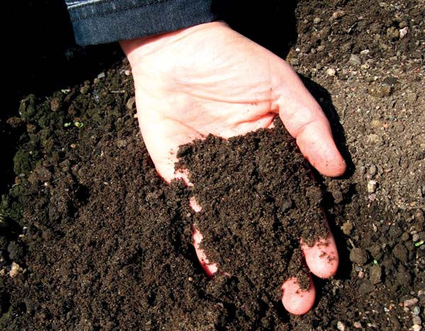 Maa muhevaksi Puutarhakasvit kasvavat parhaiten, kun kasvualusta on kuohkea ja ravinteikas. Kun maassa on runsaasti eloperäistä ainesta, maaperän hyödylliset pieneliöt viihtyvät hyvin.