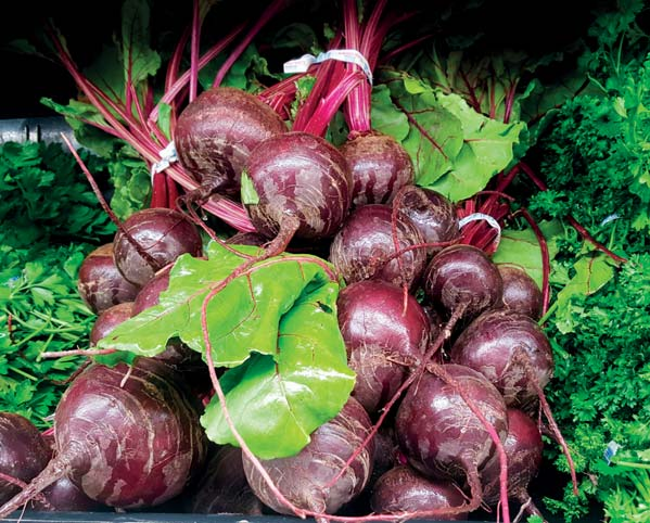 Punajuuri Värikäs punajuurikas eli kotoisesti punajuuri on perin teinen palstakasvi. Tummanpunaisten lajikkeiden lisäksi on tarjolla valkoisia, keltaisia ja raidallisia puna juuria.