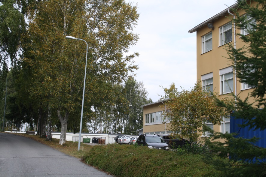 Saarnilan tontin kulmassa oleva kumpare, joka on potentiaalinen muinaisjäännösalue Toinen mahdollinen muinaisjäännösalue sijaitsee koivurivin pään kohdalla 3.2.