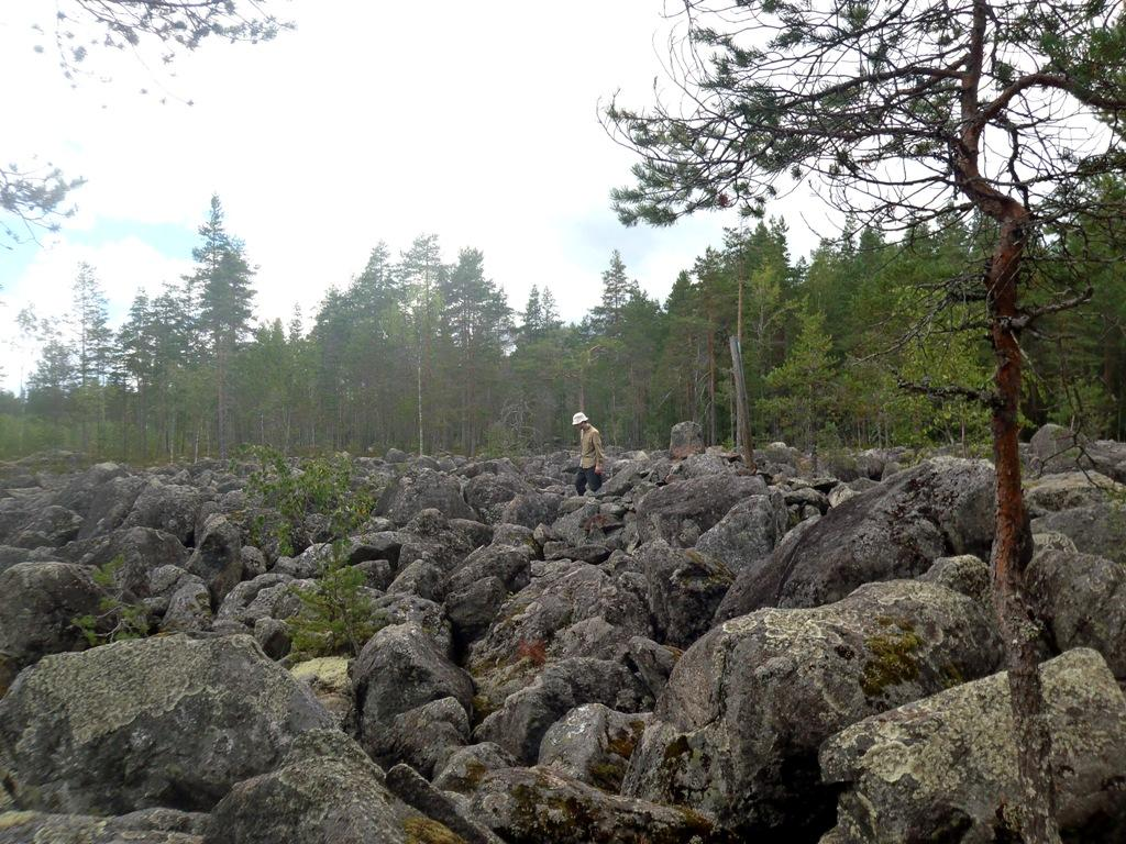 19 Lisätietoja Toimenpiteet Tarkastukset Tila: 3 Toteutettu Laji: 6 Suojeluarvojen tarkastus Tarkastusvuosi: 2013 Tarkastuspvm: 13.8.2013 Tarkastaja: H.-P.