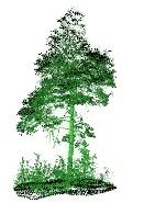 Esimerkki käyttötapauksesta dynaaminen metsäsuunnittelu Metsäsuunnittelupalvelu Suunnittelualueen valinta Käsittely-yksiköiden automaattinen tai ohjattu muodostaminen Vaihtoehtojen laskenta metsän
