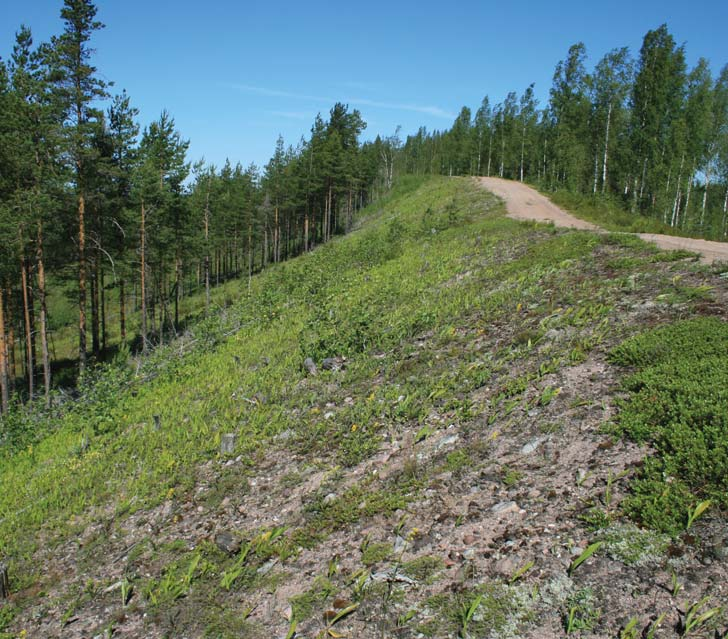 neet pienaukoilla, joilta tavattiin vuoteen 2005 asti hyvin niukasti perhosia. Havaintomäärät kääntyivät niillä selvään nousuun vuonna 2006 (kuva 4b).