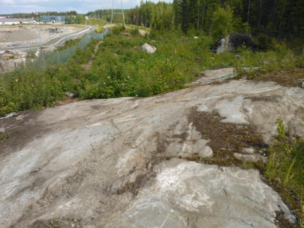 Kuva 1. Granodioriittia Lahdesjärven alueella.