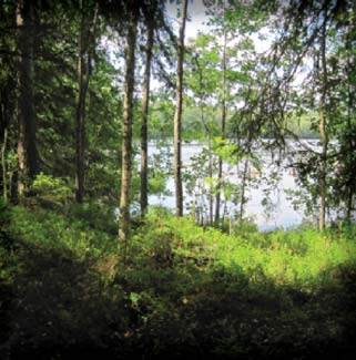 Helena Väisänen 2011 Vohlisaaren asemakaava Vohlisaari sijaitsee Kukkiajärven Haltianselän rannalla Luopioisten tuntumassa noin kilometrin taajaman keskustasta.